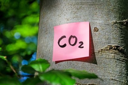 Lässt sich CO2 einfangen?