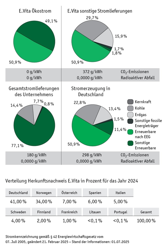 Strom Zusammensetzung 2024