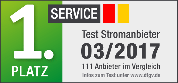Service Sieger